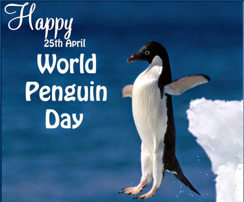 Celebrate World Penguin Day! Montauk Library