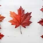 National Respect Canada Day