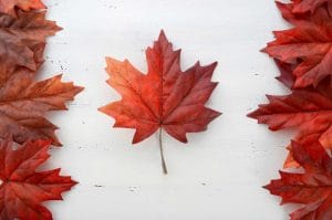 National Respect Canada Day