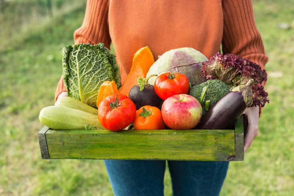 Fresh Veggies Day