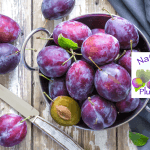 National Plum Day 2026