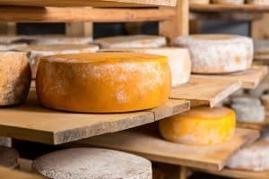 Goat Cheese Day