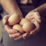 National Egg Day 2026