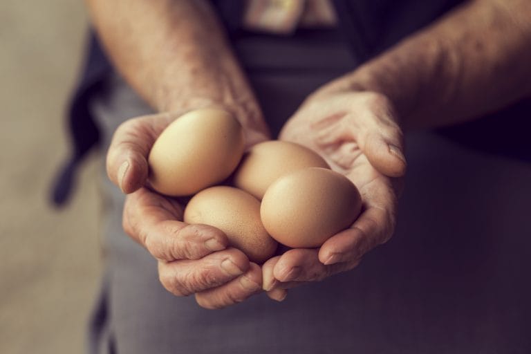 National Egg Day 2026