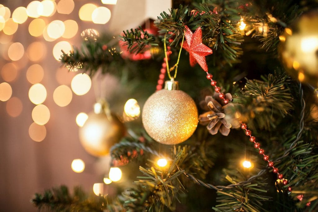 Bring Your Christmas Tree Home Day