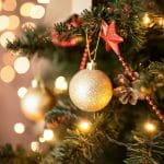 Bring Your Christmas Tree Home Day
