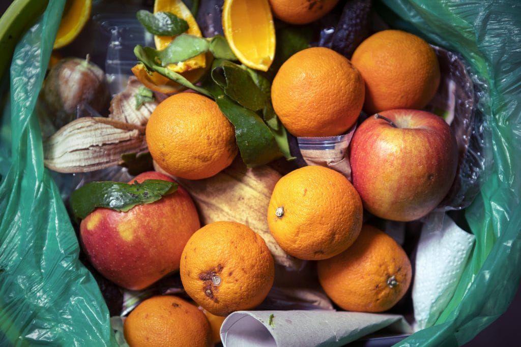 International Day of Zero Waste 2027
