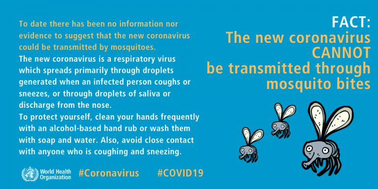 World Mosquito Day