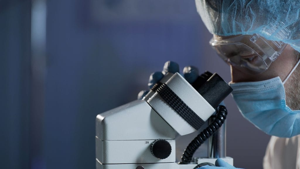 International Day of Science, Technology and Innovation for the South 2027