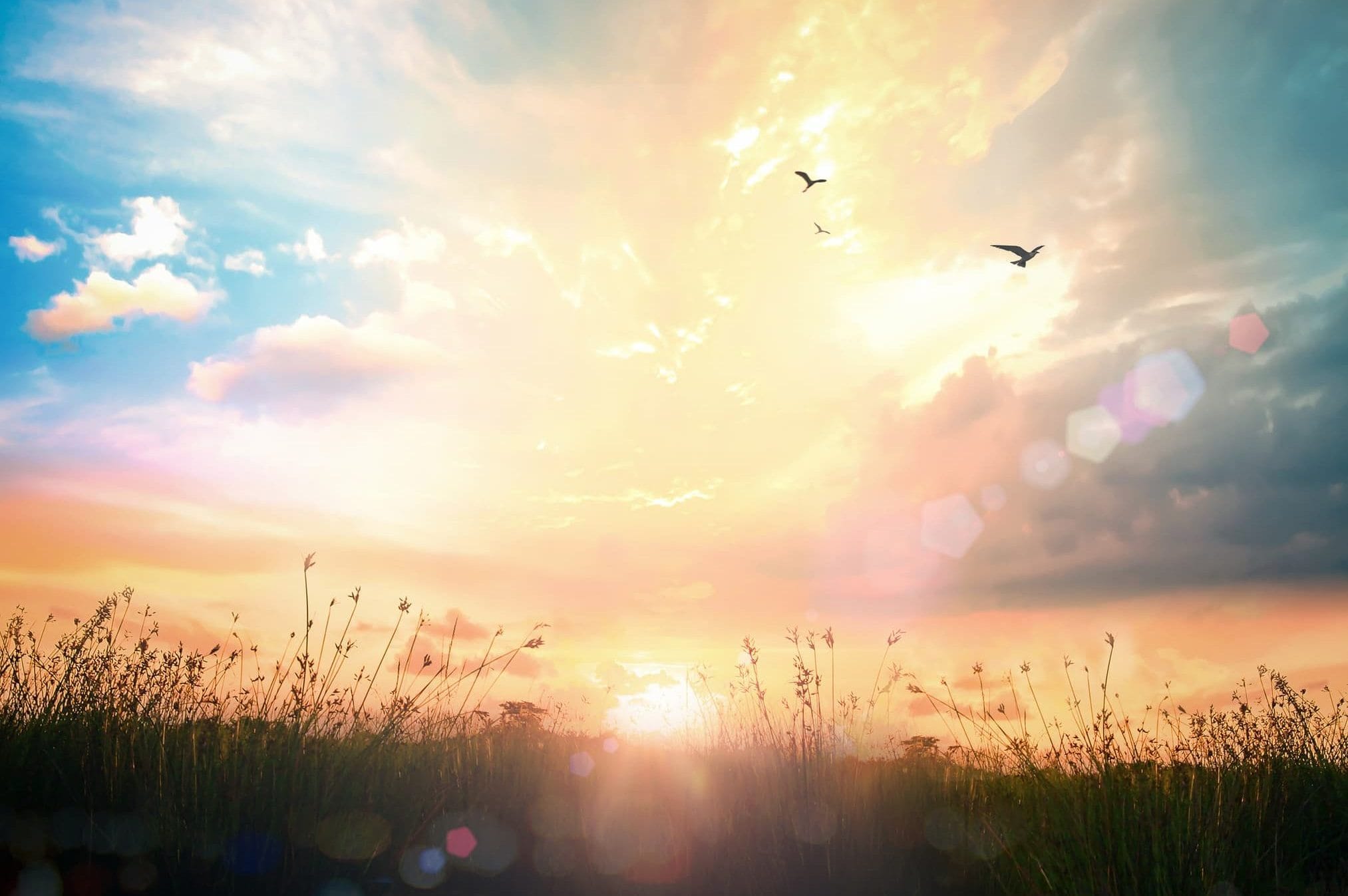 Awareness Days – International Day Of Peace