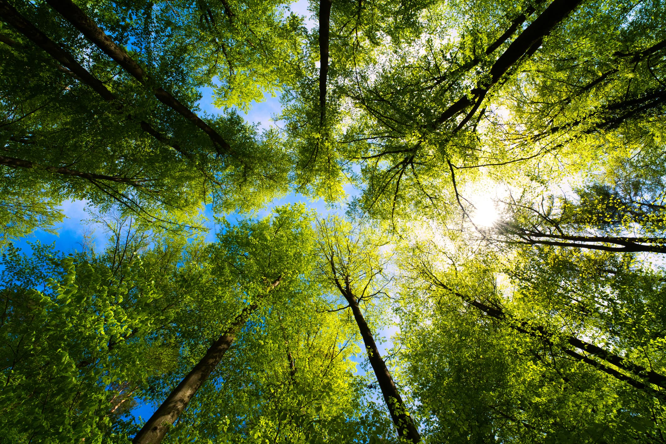iStock-1317323736-1