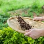 National Fair Trade Month