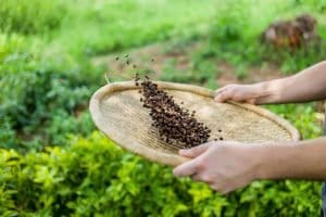 National Fair Trade Month