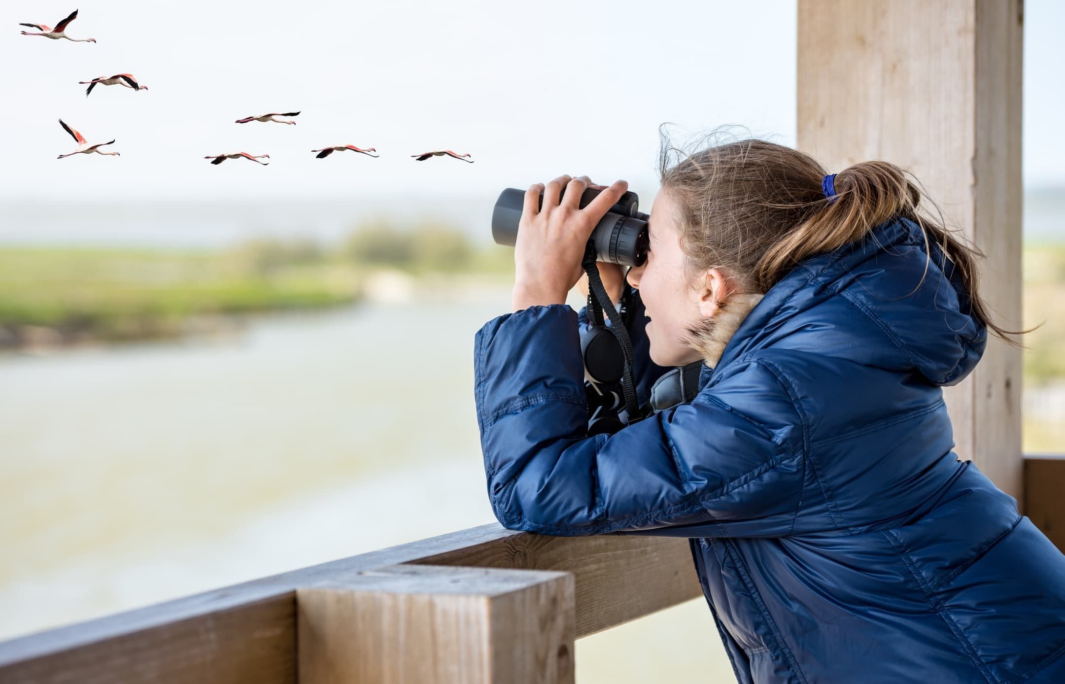 iStock-819762658 (1)