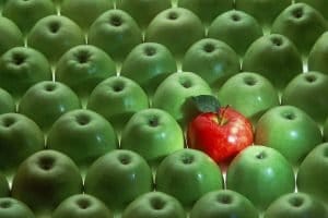 International Eat An Apple Day