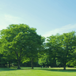 Love Parks Week 2026