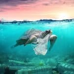 Plastic Free July 2026