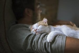 Hug Your Cat Day 2026