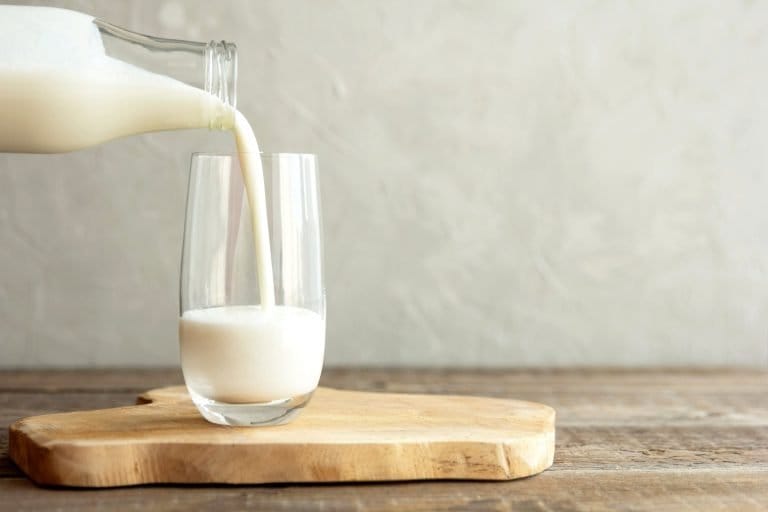World Milk Day 2026