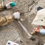 Ask an Archaeologist Day 2026