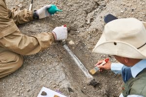 Ask an Archaeologist Day 2026