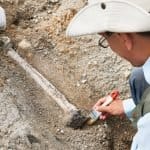 A Day in Archaeology 2026