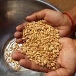 World Hunger Day 2026