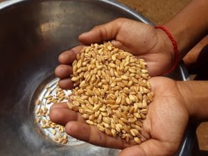 World Hunger Day 2026