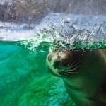 National Marine Week 2026