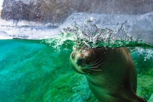 National Marine Week 2026
