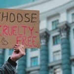 International Animal Rights Day 2026