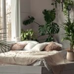 Houseplant Week UK 2026