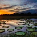 World Wetlands Day 2026