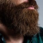 Decembeard 2026