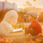 Poetry Bears Picnic 2026