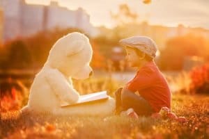 Poetry Bears Picnic 2026