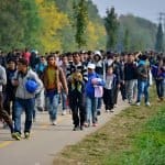 International Migrants Day 2026