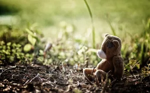 International Missing Children's Day 2026