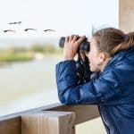 Big Schools Birdwatch 2026