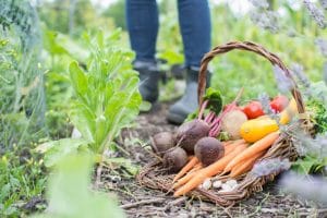 National Growing for Wellbeing Week 2026
