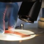 World Haemophilia Day 2026