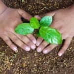 World Environment Day 2026