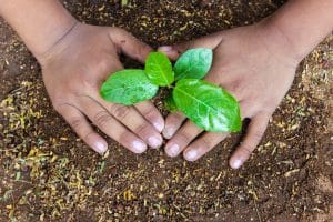 World Environment Day 2026