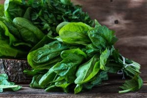 Fresh Spinach Day