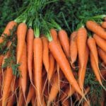 British Carrot Day 2026