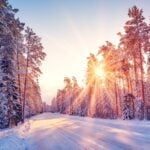December Solstice 2026