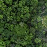 International Day for the Preservation of the Ozone Layer 2026