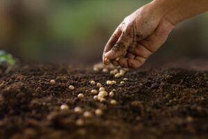 Seed Gathering Season 2026