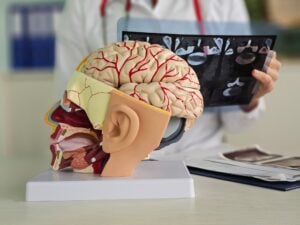 World Brain Day