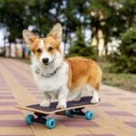 Celebrate Your Unique Talent Day